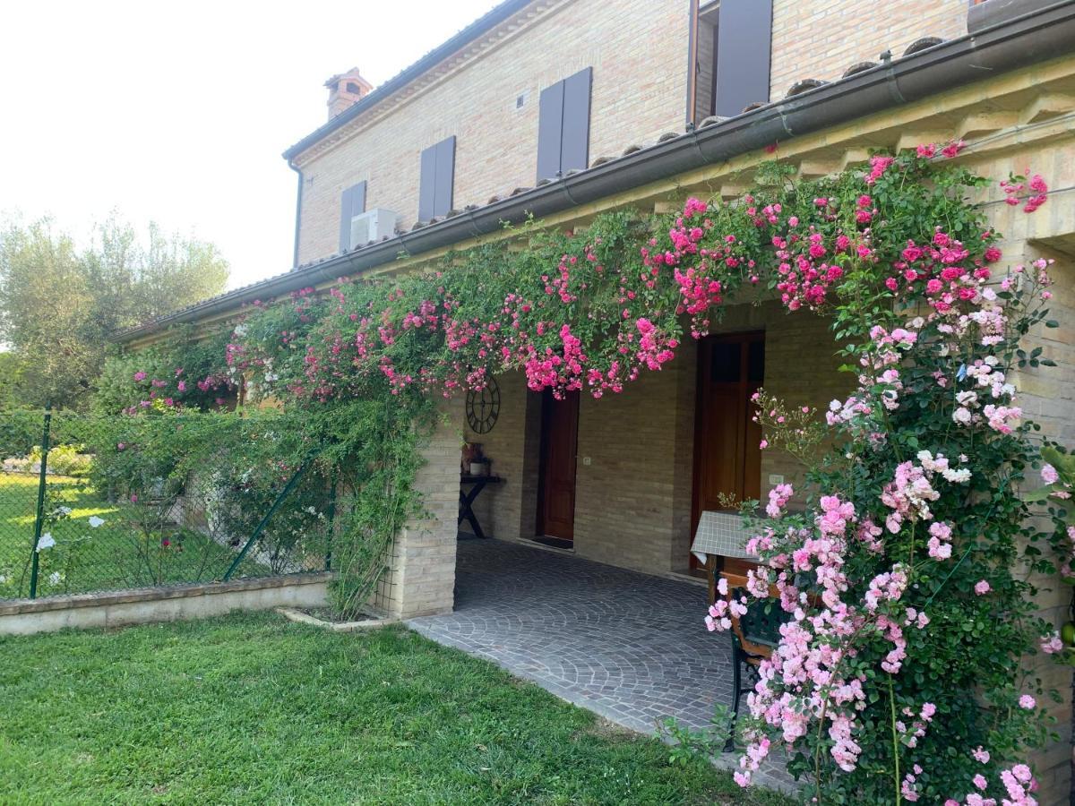 Guest House Vagamondo Fano Exteriör bild